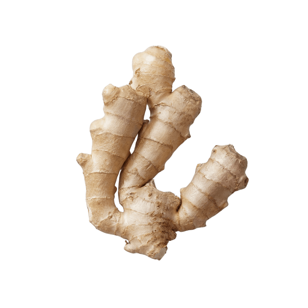 Ginger